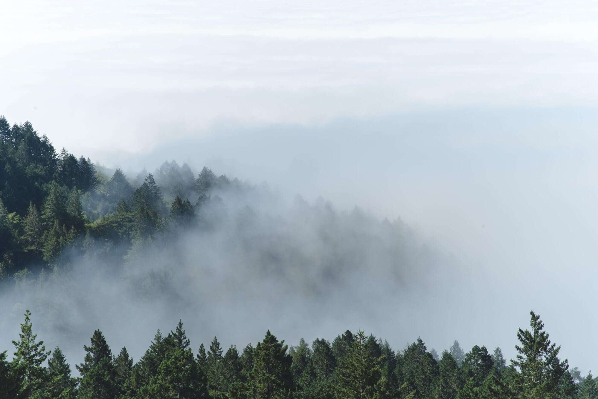 Smoky Mountains