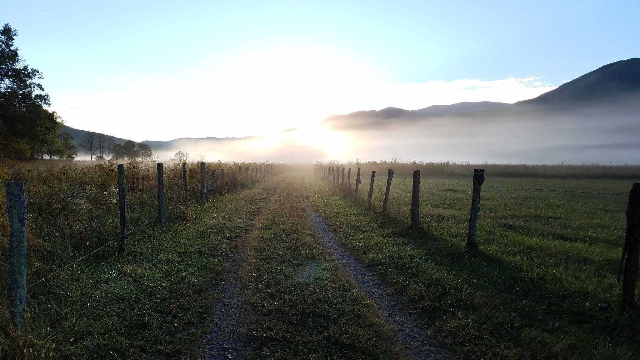 What To Do While Cades Cove Loop Road is Closed Little Arrow Outdoor