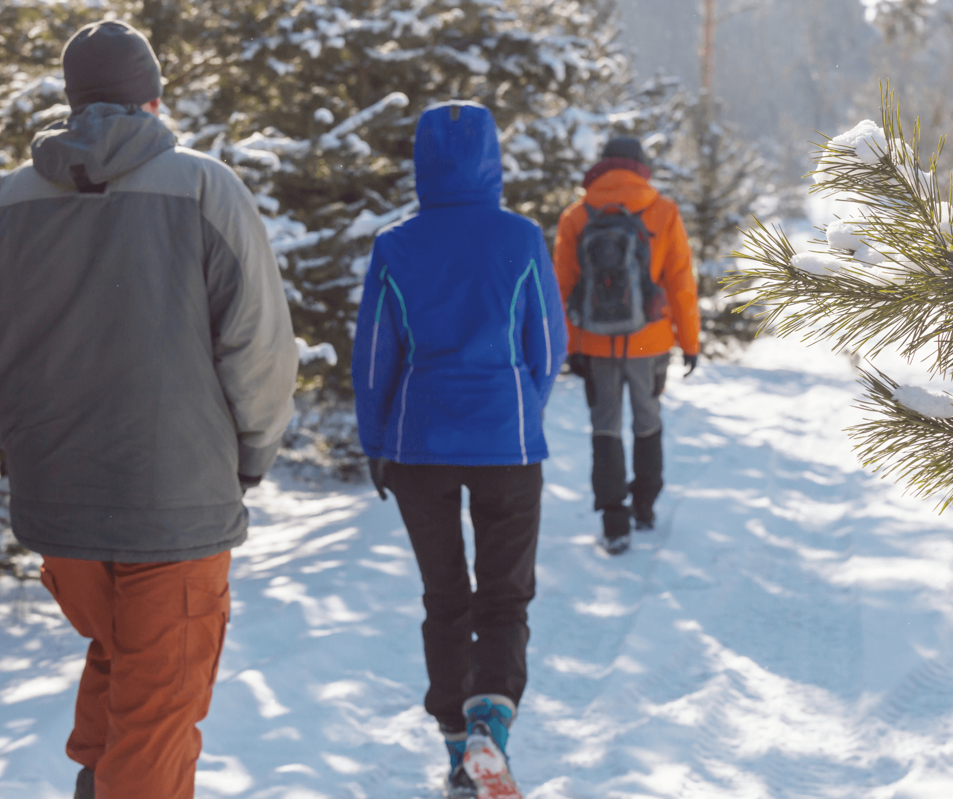 Lift Your Spirits with a Smoky Mountain Winter Walk - Little Arrow ...