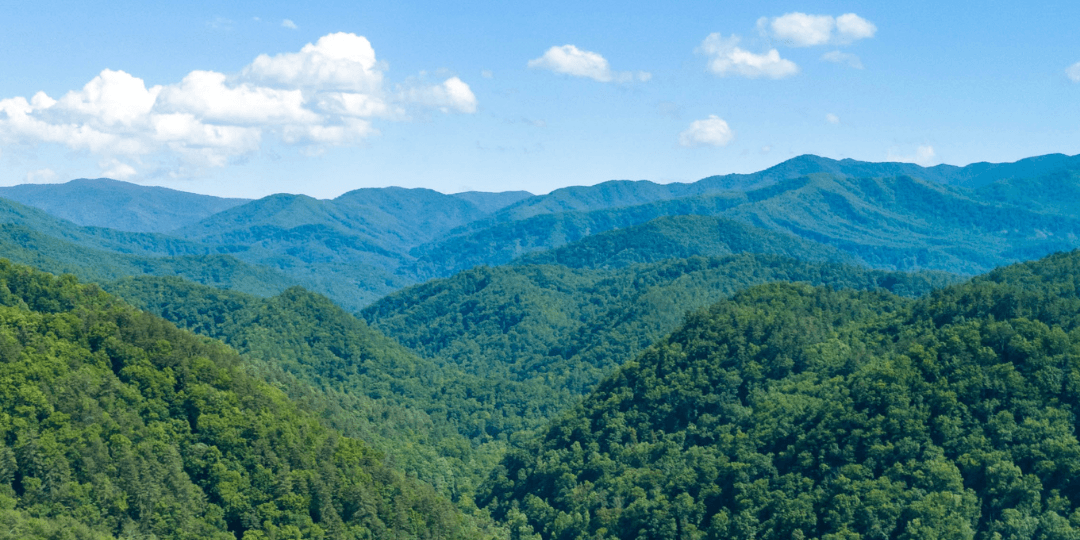 smokies